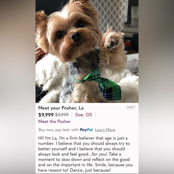 New to Poshmark? No Biggie…I Will Help You! - Picture 3 of 5